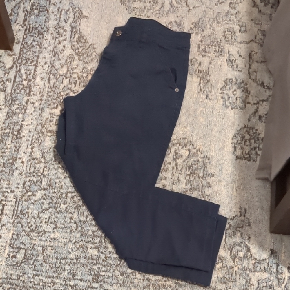 Prana Navy Pants